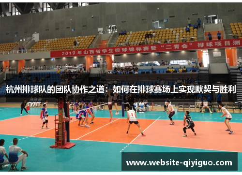 杭州排球队的团队协作之道：如何在排球赛场上实现默契与胜利