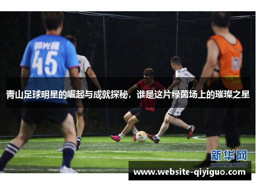 青山足球明星的崛起与成就探秘，谁是这片绿茵场上的璀璨之星